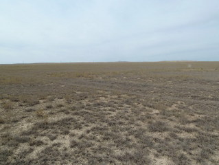 #1: Юг/South view