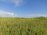#2: South-east view