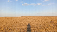 #3: East view