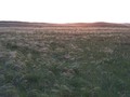 #5: Общий вид точки / General view the confluence point