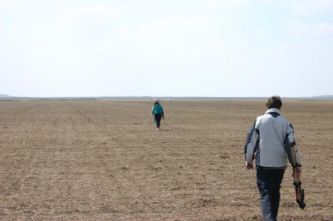 Снова в поле! / Again in the field!