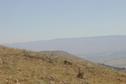 #4: East View