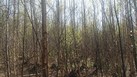 #4: View to the south / Вид на юг