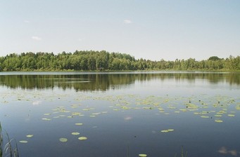#1: the confluence point, 85 m away looking west