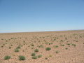 #2: East view