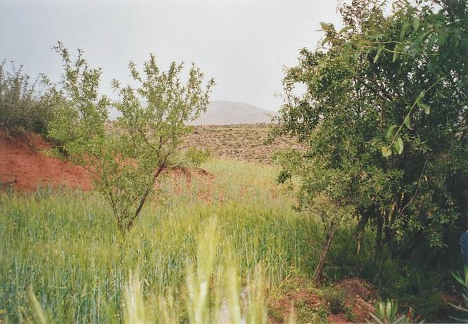 View towards east from Confluence