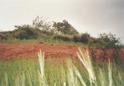 #3: View towards north from Confluence