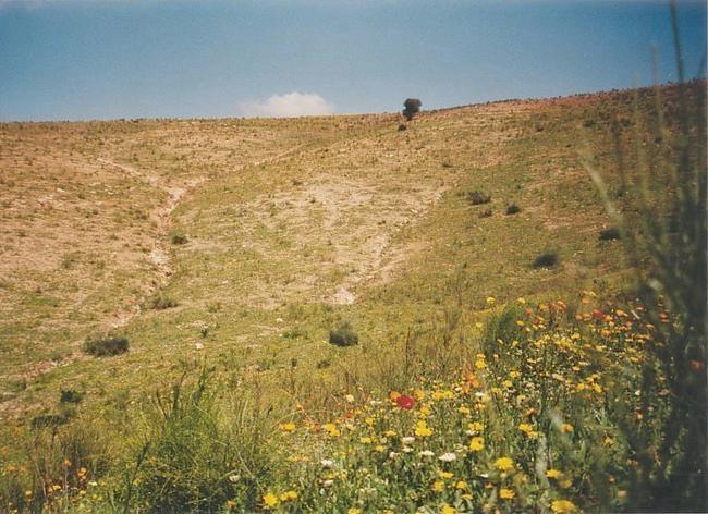 The CP 32°N 8°W seen from west (Confluence in front of the bright rock in the centre)