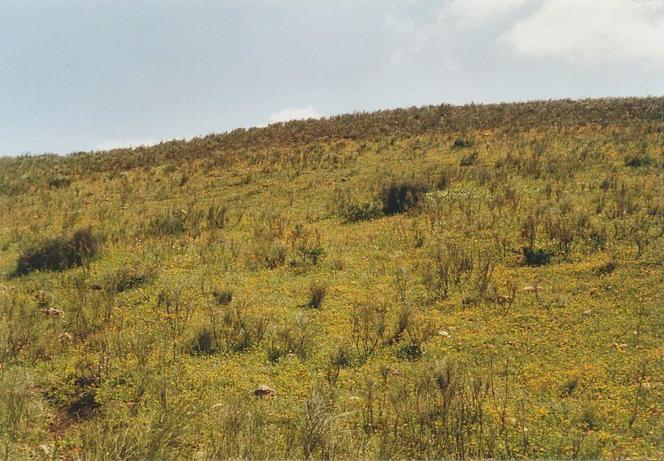 View towards south from Confluence