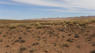 #3: View to East