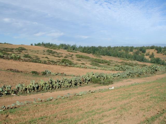 Looking north from the Confluence