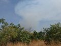 #3: 90m outside scrubs - bushfire eastwards