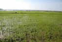 #3: Looking south at Confluence point