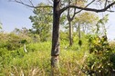 #3: View to the east from the degree confluence