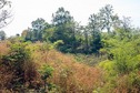 #4: View to the south from the degree confluence