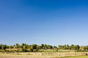 #9: Rice fields west of Kama Village