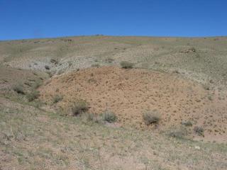 #1: View N from the confluence