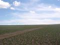 #2: East view from the confluence