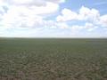 #3: West view from the confluence