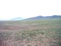 #4: West