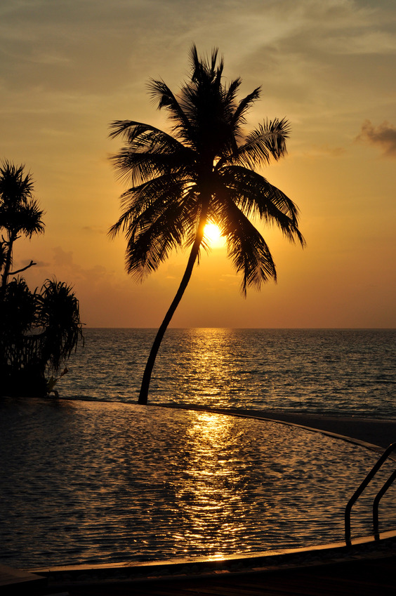 Pool of Vilu Reef Beach & Spa Resort at sunset