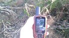 #5: GPS
