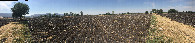 #6: Panorama