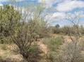 #2: Looking North from Confluence