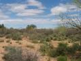 #4: Looking East from Confluence