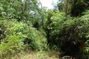 #4: looking South into another mass of jungle and mountain