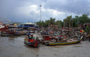 #8: beached boats at Kuala KedahEX_2010_185.jpg -- feeding the monkeys at the marina 