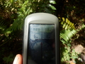 #6: GPS Reading