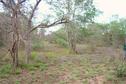 #2: Facing South