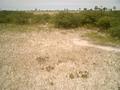 #3: View east