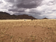 #10: Fairy circle (arid grass formation)