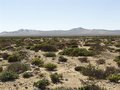 #8: Boegoeberg mountain