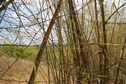 #5: View West