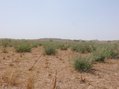 #2: A shot across the confluence looking east to a low hill