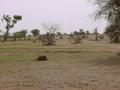 #4: The view northwest from the Confluence.  Note Fulani village in distance