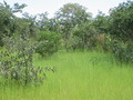 #3: East