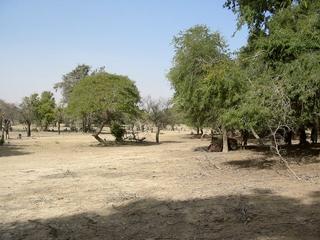 #1: General View