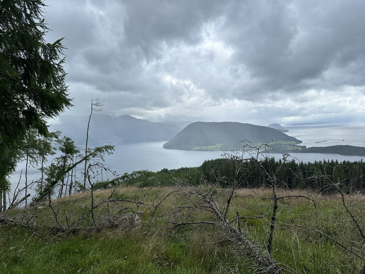 View to the South