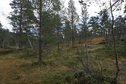 #3: view east