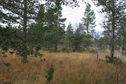 #5: view west