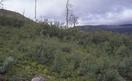 #6: view north