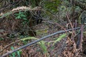 #6: Geocache found
