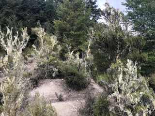 #1: View South (from the top of the bank, about 55 metres away from the point)