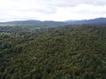 #11: View East from about 100 m above the point