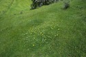 #5: The confluence point lies on a steep farm field
