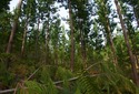 #3: View East